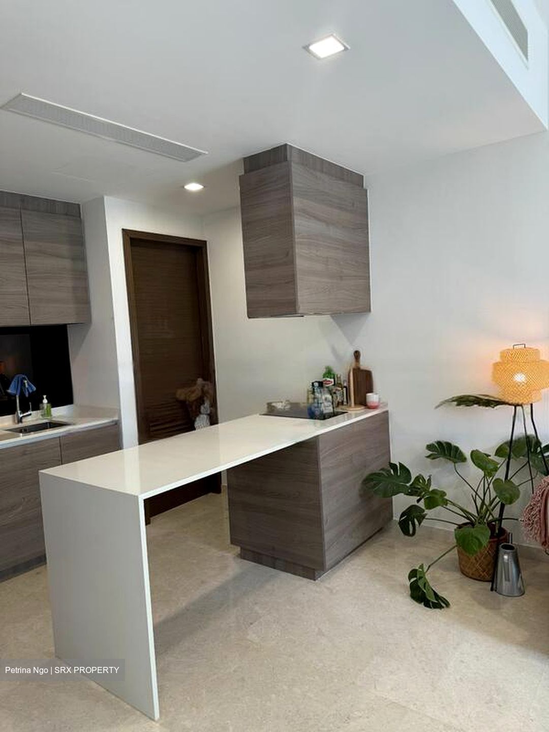 Amber Skye (D15), Apartment #466801531